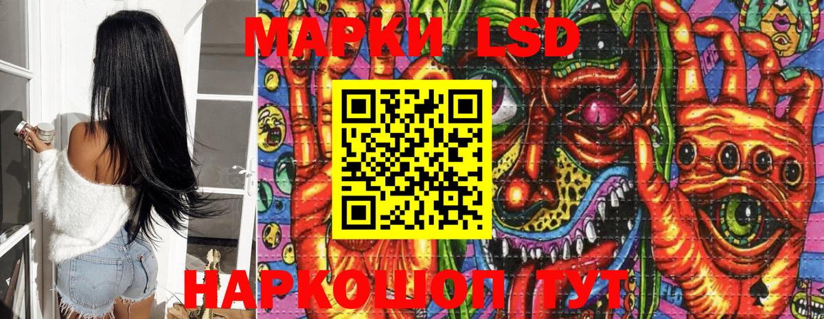 Россия  Наркотические марки 1,5мг  купить наркотик  Вход с VPN  Наркотические марки 1,5мг 