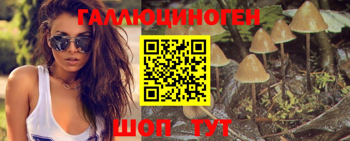 Галлюциногенные грибы MAGIC MUSHROOMS Россия