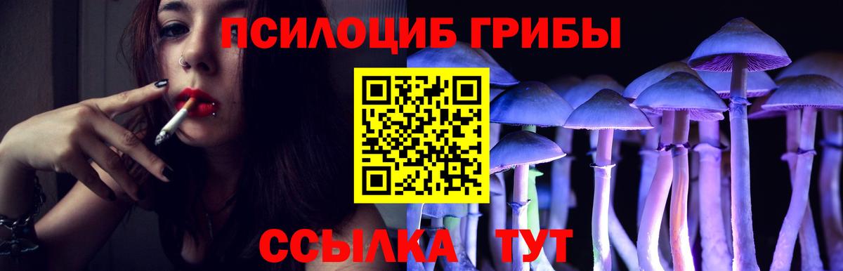 Псилоцибиновые грибы GOLDEN TEACHER  Вход с VPN  Россия 