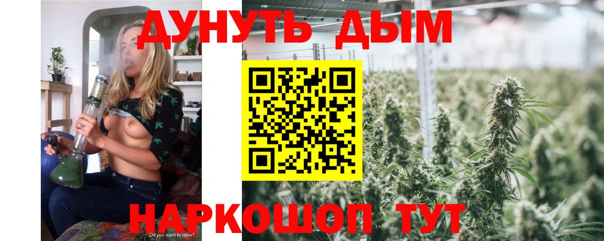 Шишки марихуана конопля  Шишки марихуана план  Марихуана White Widow  Россия  Вход с VPN 